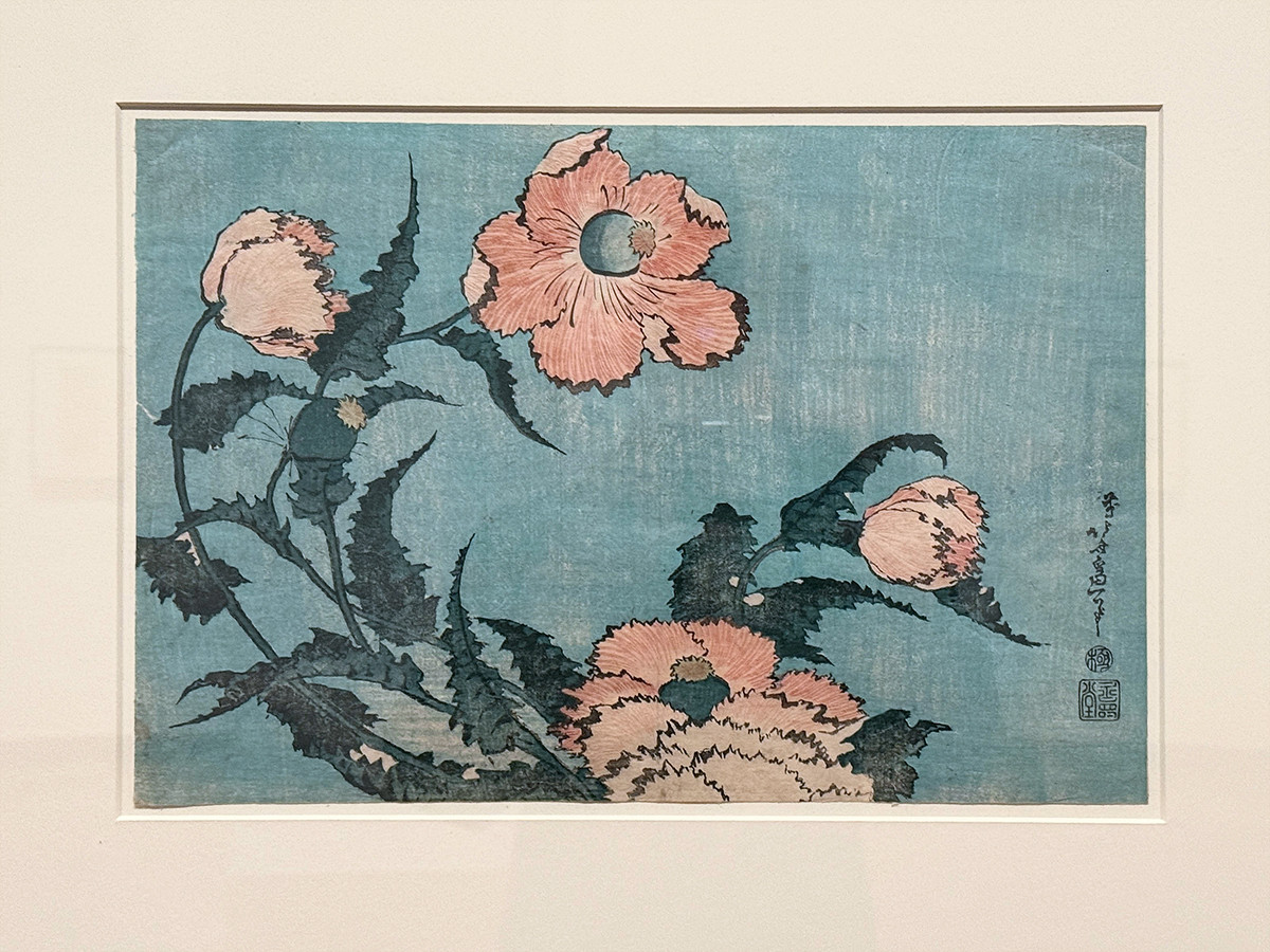 千葉市美術館「ロックフェラー・コレクション花鳥版画展　北斎、広重を中心に」会場より　葛飾北斎《芥子》天保2-3年（1831-32）頃