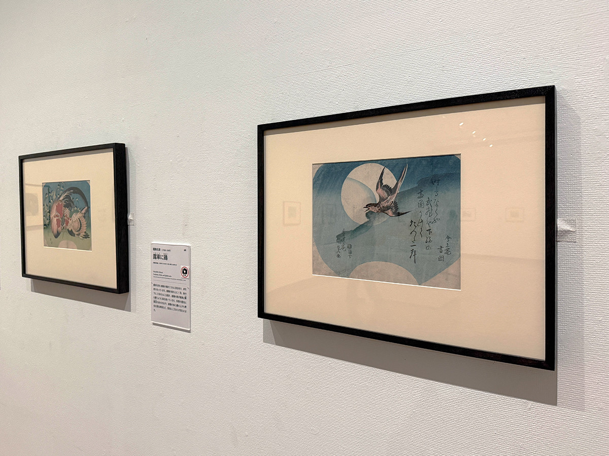 千葉市美術館「ロックフェラー・コレクション花鳥版画展　北斎、広重を中心に」会場より　（左奥から）葛飾北斎《露草に鶏》天保3年（1832）頃 ／ 歌川国貞《杜鵑と月》文政11年（1828）