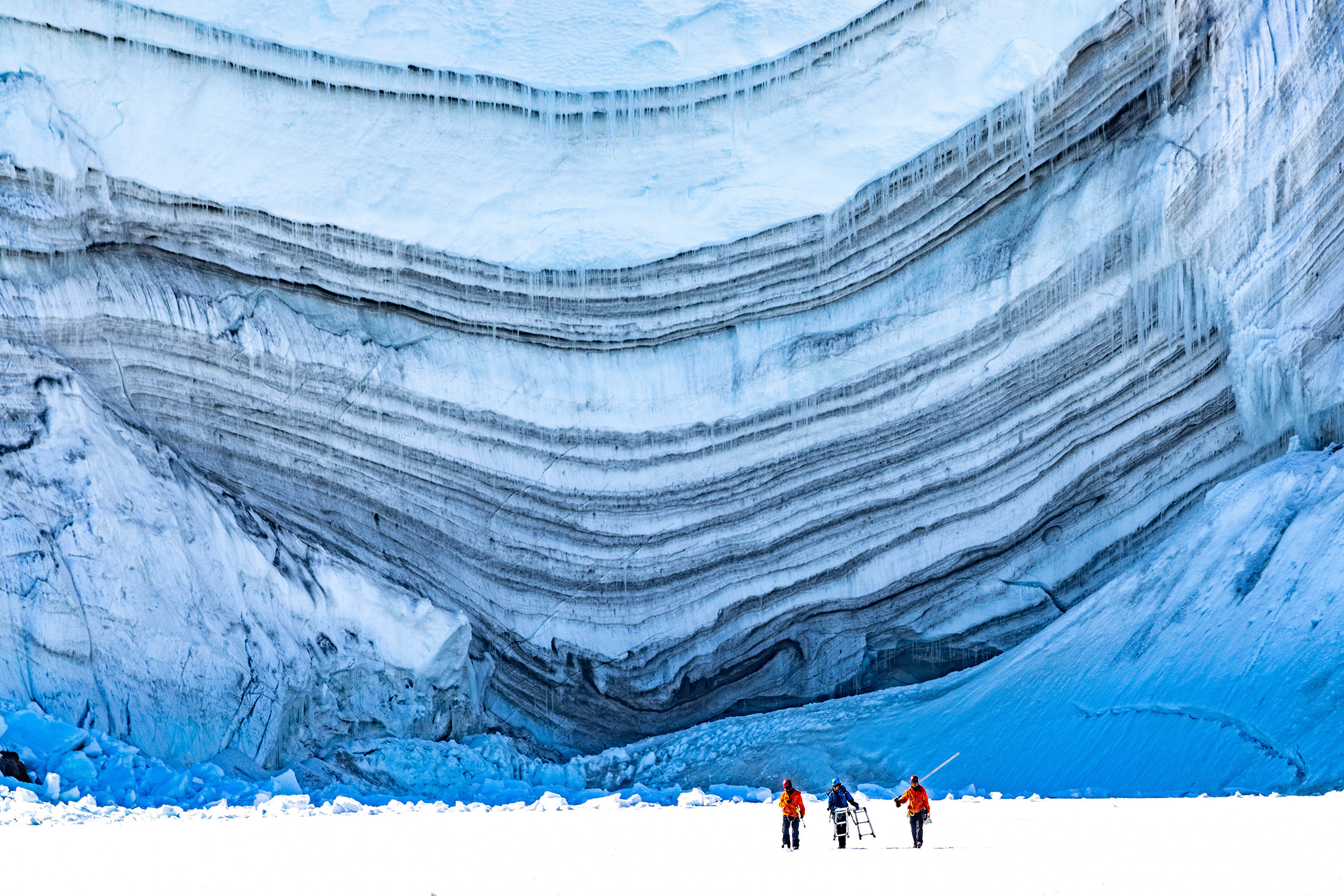 特別展「大南極展」