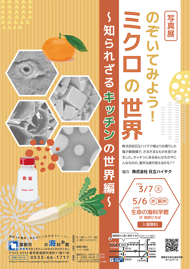 のぞいてみよう！ミクロの世界 〜知られざるキッチンの世界編〜