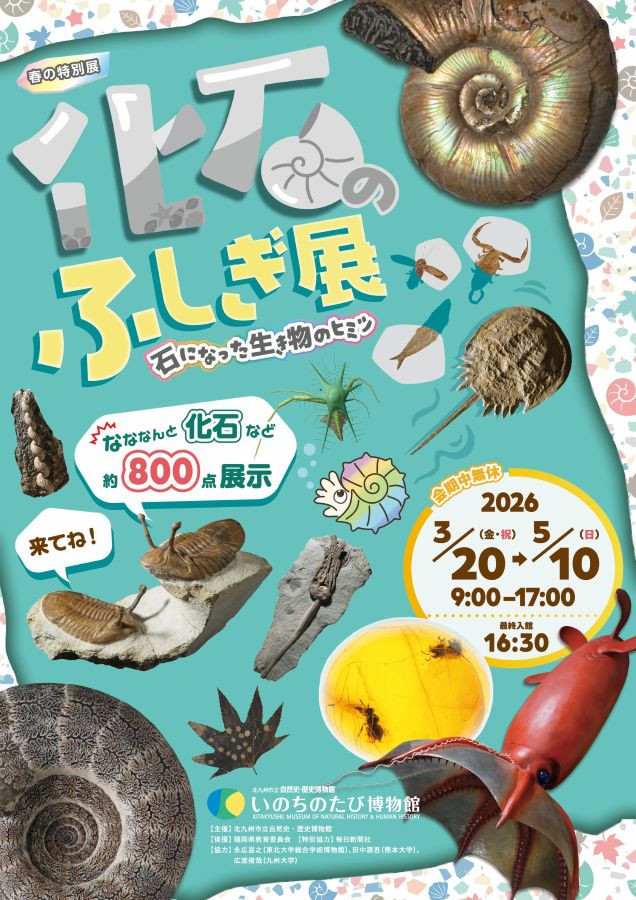 春の特別展「化石のふしぎ展　石になった生き物のヒミツ」