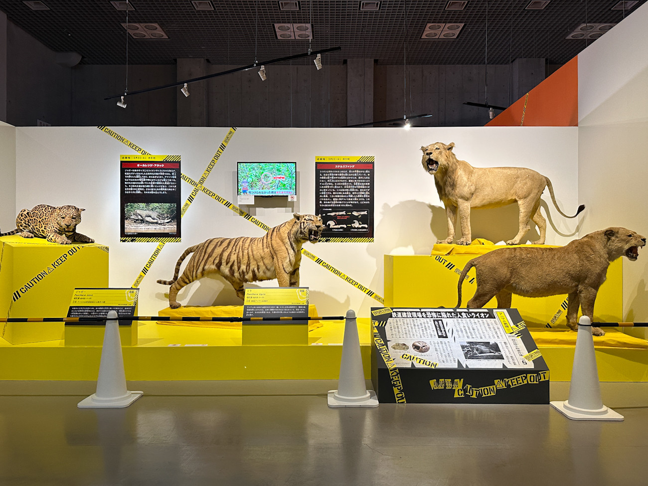 国立科学博物館 特別展「超危険生物展　科学で挑む生き物の本気」会場