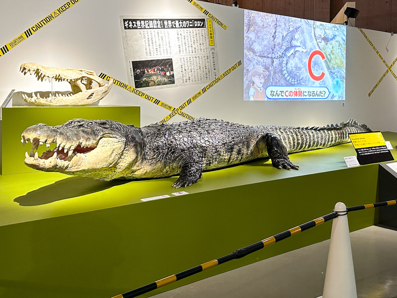 国立科学博物館 特別展「超危険生物展　科学で挑む生き物の本気」会場