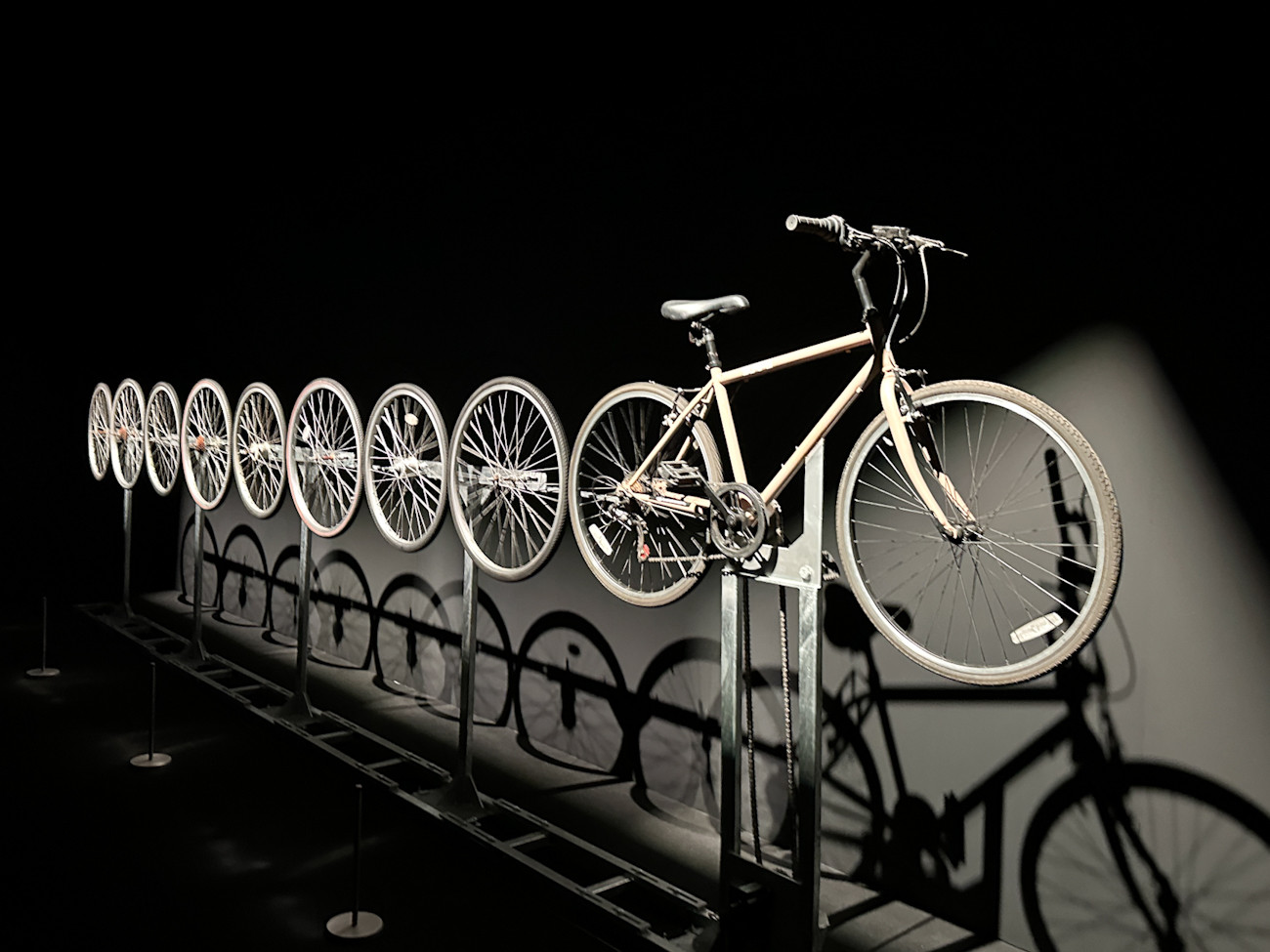 MoN Takanawa: The Museum of Narratives 展覧会「ぐるぐる展—進化しつづける人類の物語」