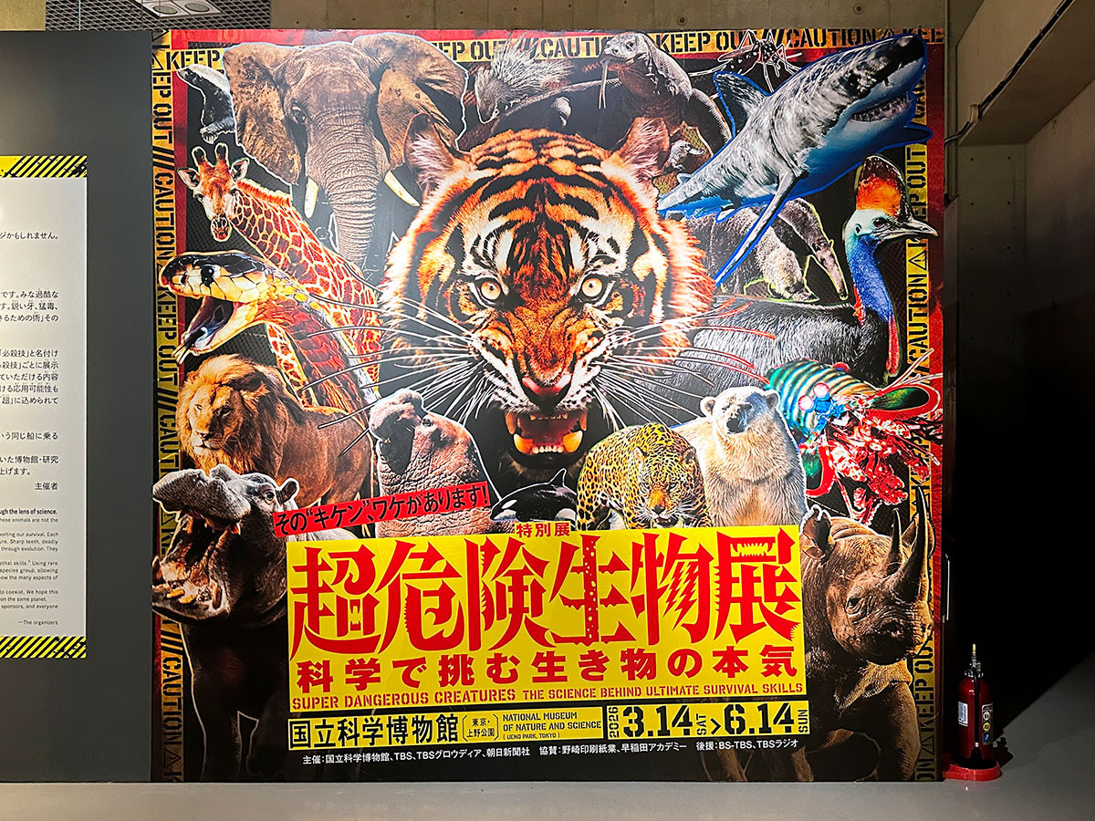 国立科学博物館 特別展「超危険生物展　科学で挑む生き物の本気」