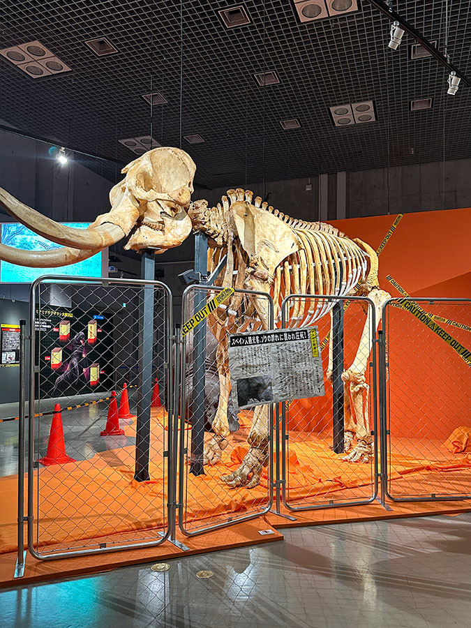 国立科学博物館 特別展「超危険生物展　科学で挑む生き物の本気」