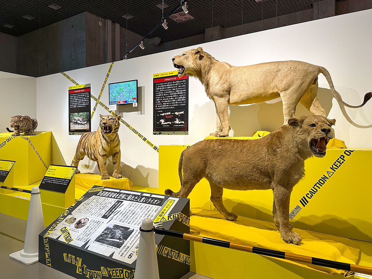 国立科学博物館 特別展「超危険生物展　科学で挑む生き物の本気」