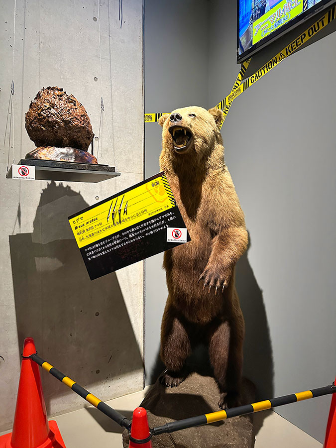 国立科学博物館 特別展「超危険生物展　科学で挑む生き物の本気」