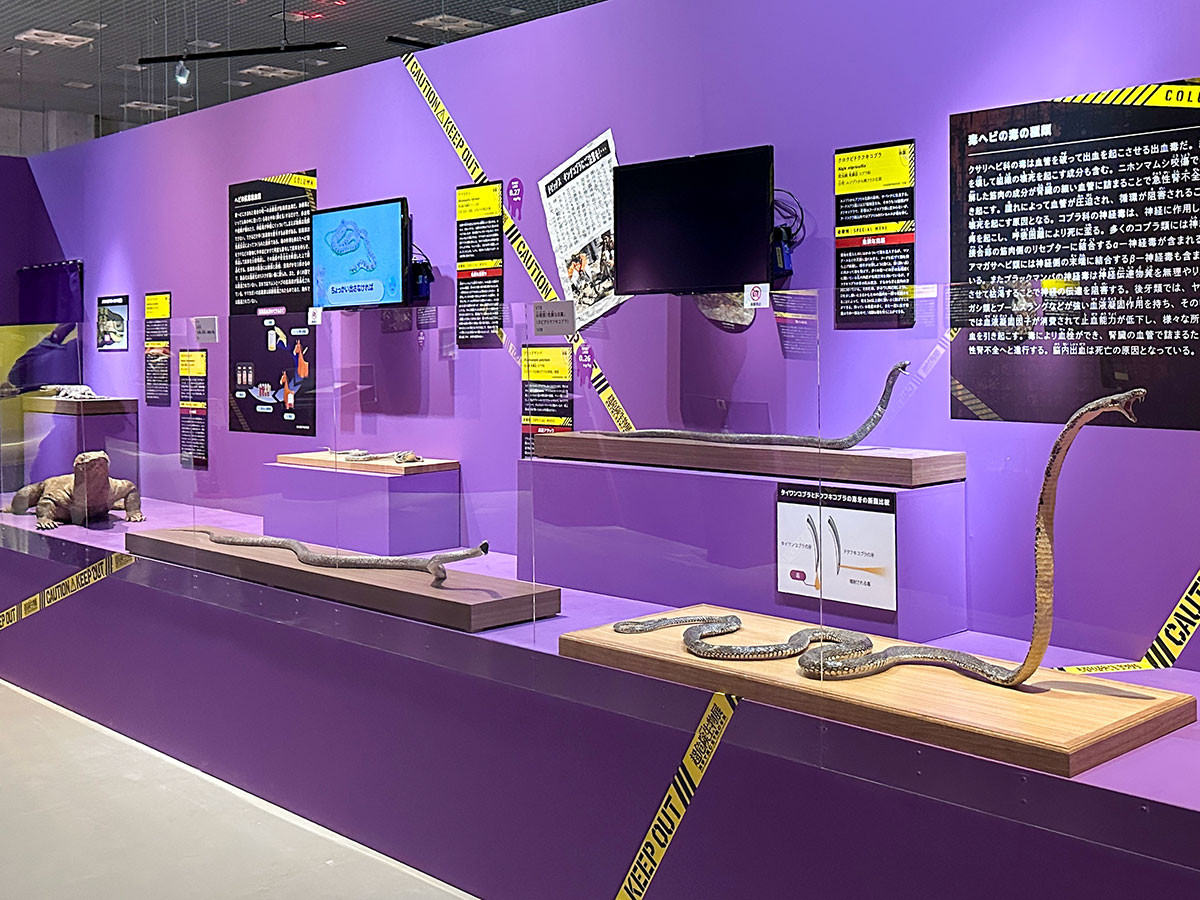 国立科学博物館 特別展「超危険生物展　科学で挑む生き物の本気」