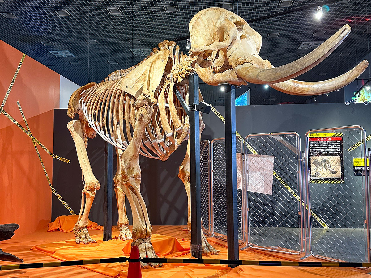 生き物の“必殺技”  ─ 特別展「超危険生物展　科学で挑む生き物の本気」（レポート）