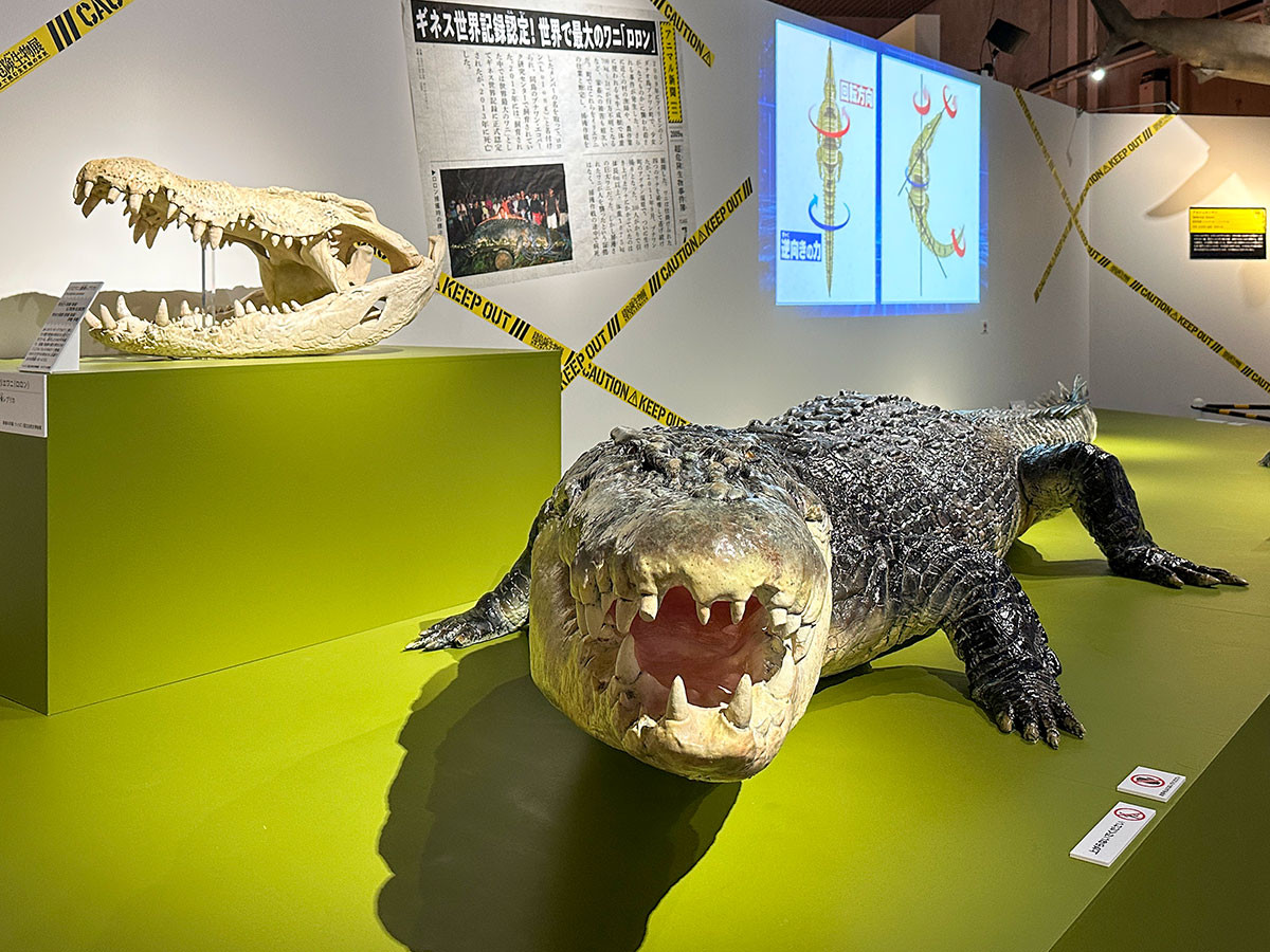 国立科学博物館 特別展「超危険生物展　科学で挑む生き物の本気」