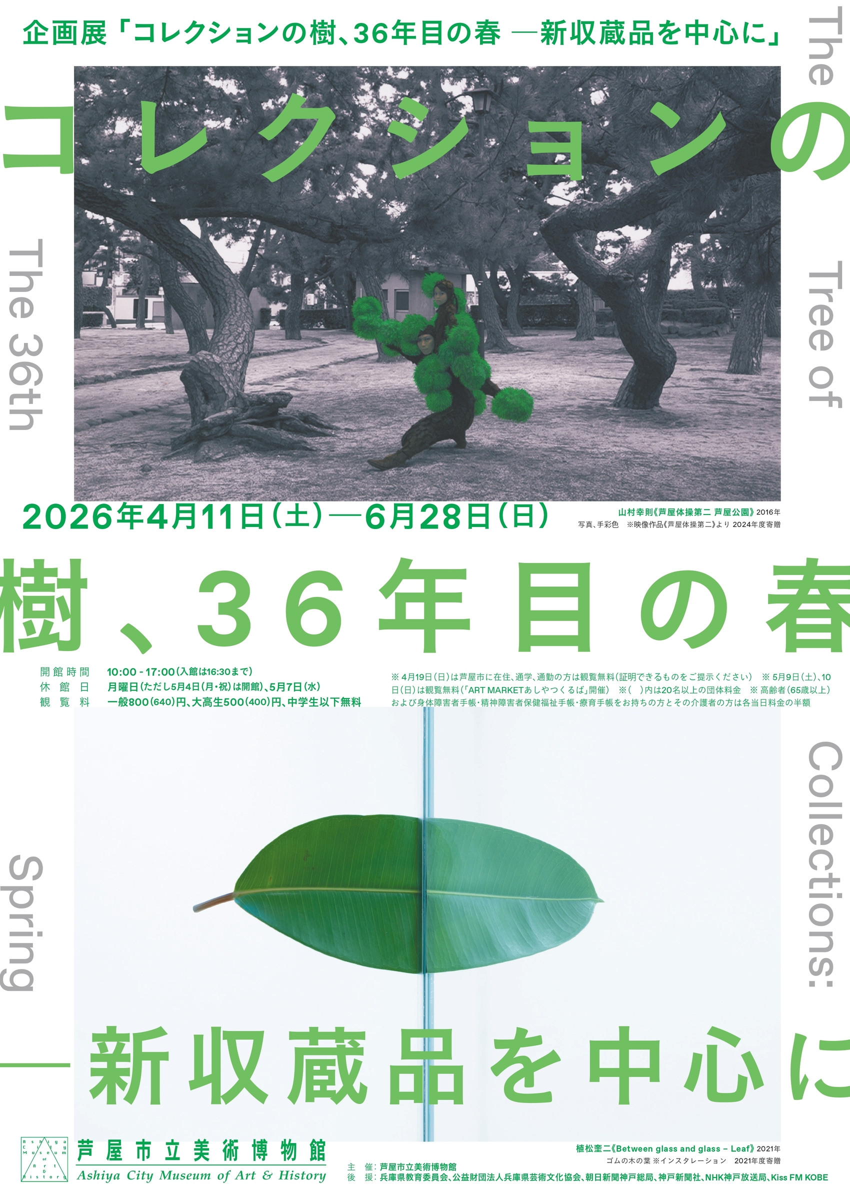 コレクションの樹、36年目の春 ―新収蔵品を中心に