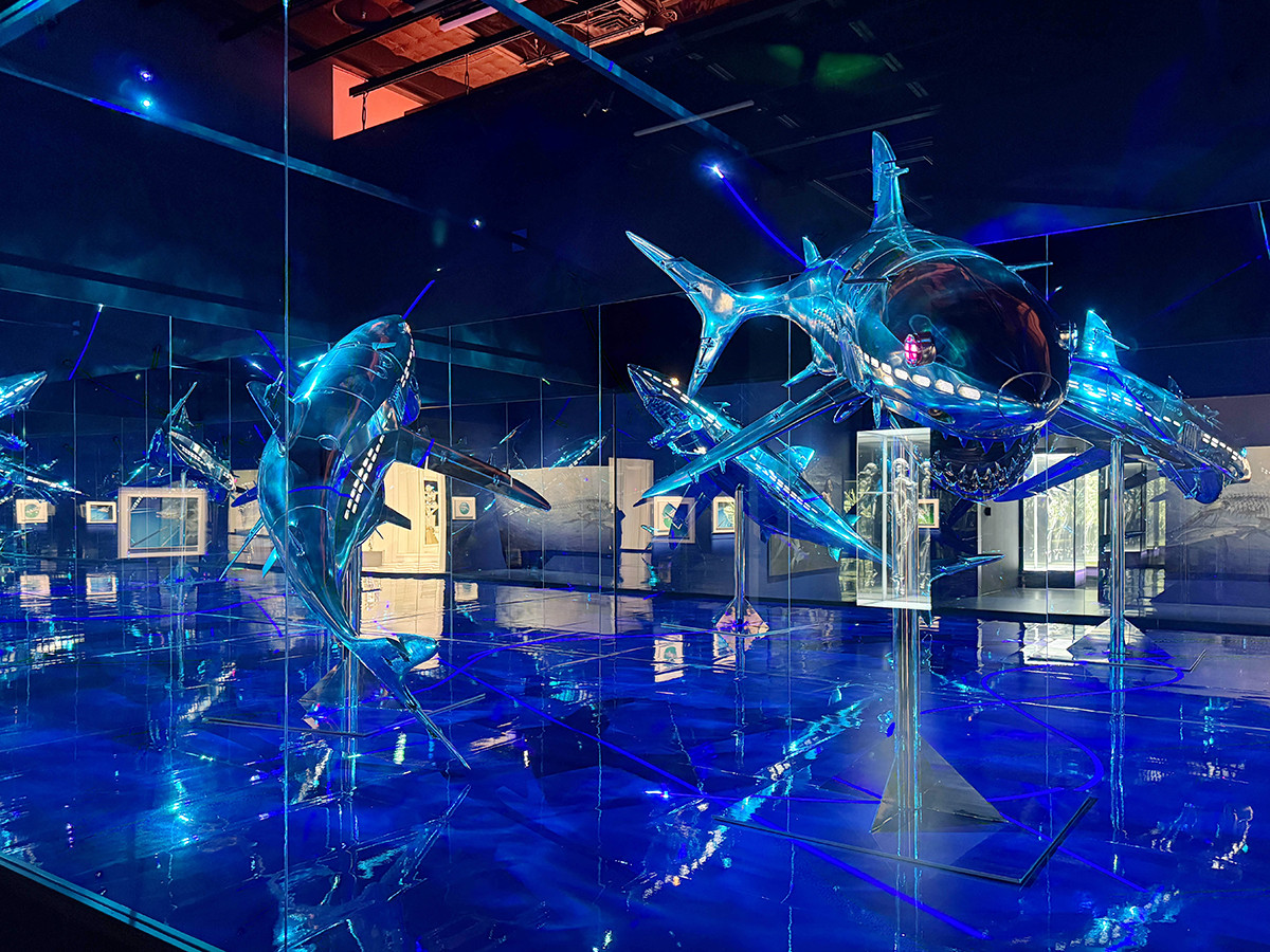 「SORAYAMA　光・透明・反射　―TOKYO―」展示風景　CREATIVE MUSEUM TOKYO、2026年