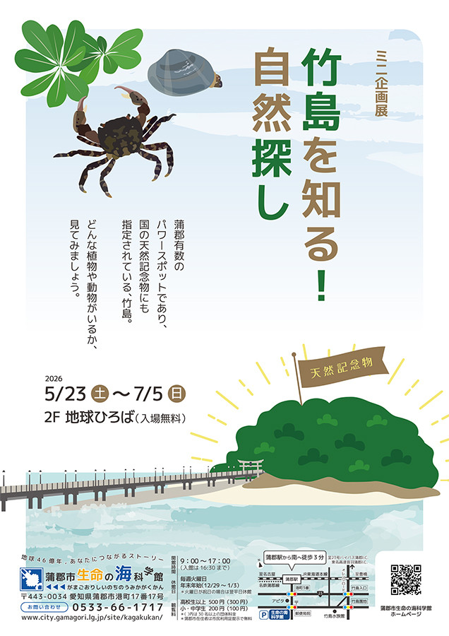 竹島を知る！自然探し