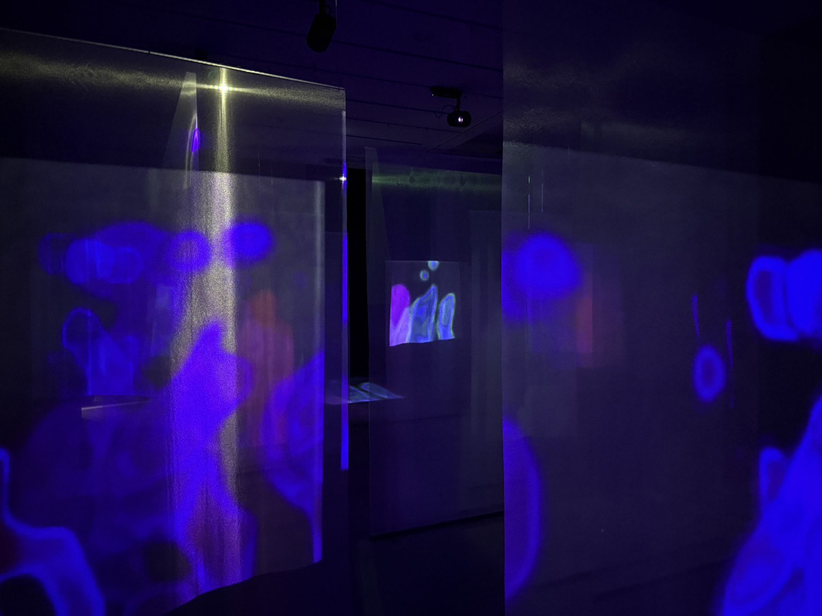 WHAT MUSEUM「波板と珊瑚礁 － 建築を遠くに投げる八の実践」会場