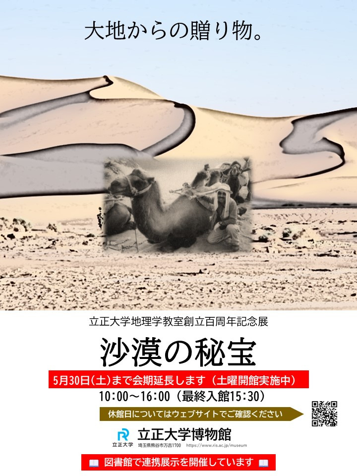 沙漠の秘宝