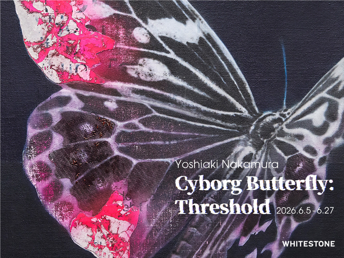 中村馨章『Cyborg Butterfly: Threshold』