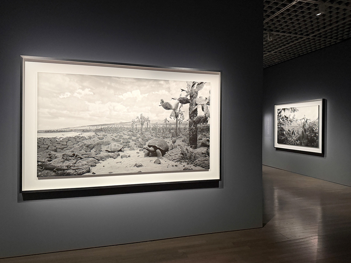 東京国立近代美術館「杉本博司 絶滅写真」会場より 東京国立近代美術館「杉本博司 絶滅写真」展示風景より 「ジオラマ」