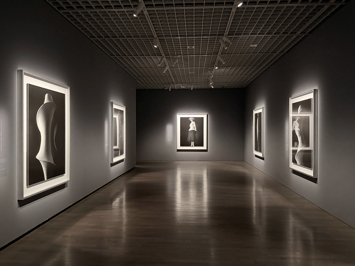 東京国立近代美術館「杉本博司 絶滅写真」会場より 東京国立近代美術館「杉本博司 絶滅写真」展示風景より 「スタイアライズド・スカルプチャー」