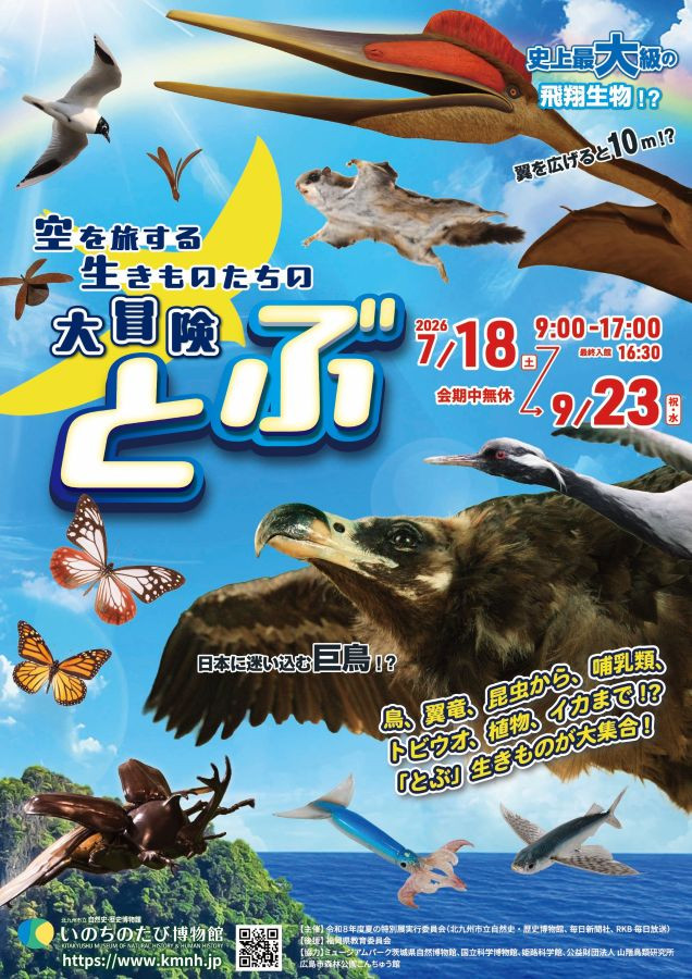 夏の特別展「とぶ　空を旅する生きものたちの大冒険」