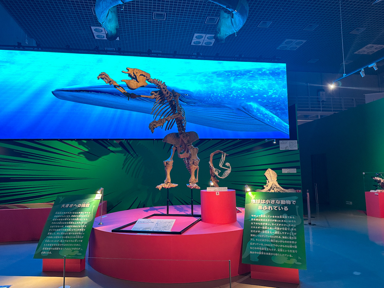 国立科学博物館 特別展「いきもの超ワールド展　国立科学博物館×ダーウィンが来た！」