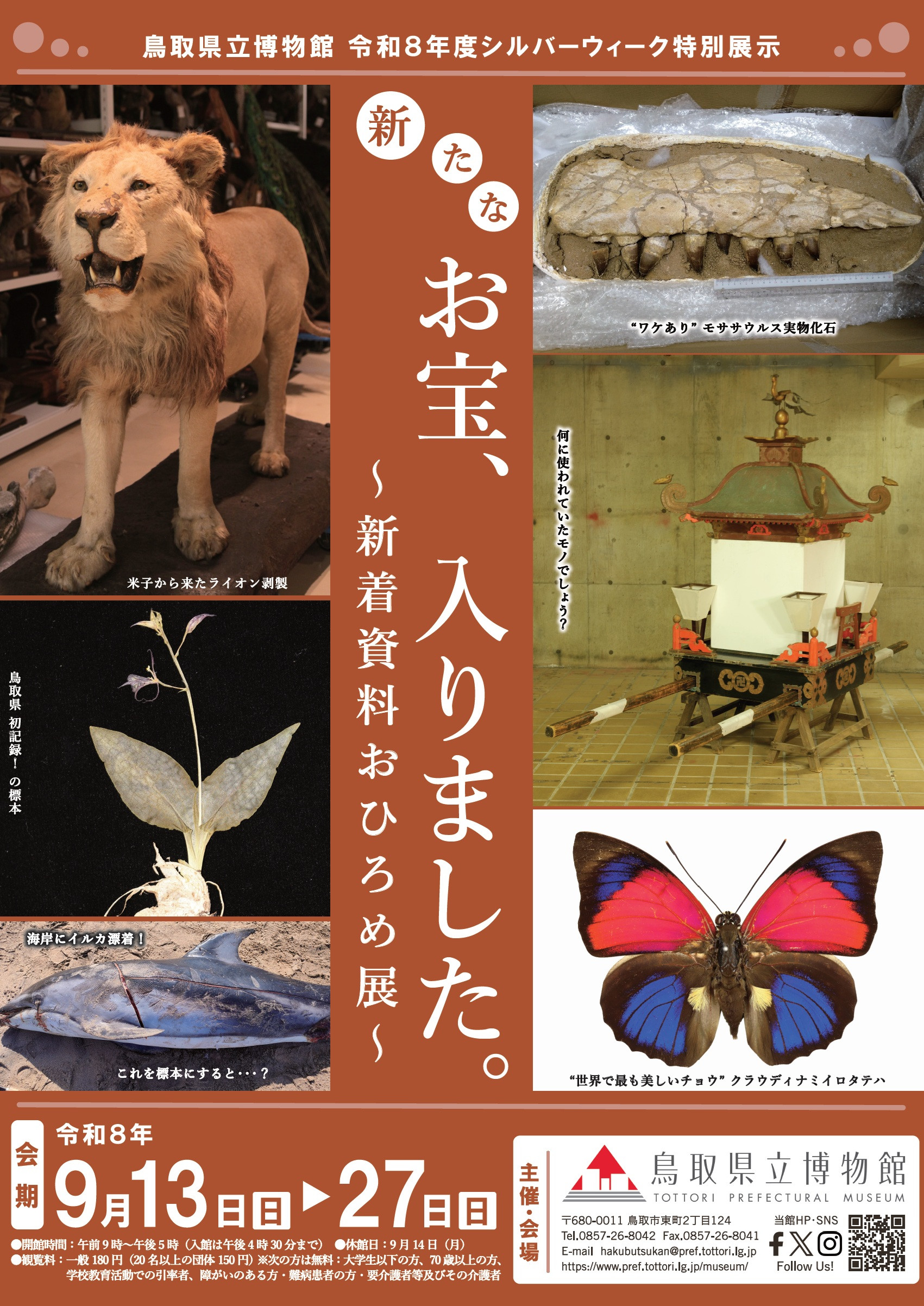 特別展示「新たなお宝、入りました。～新着資料おひろめ展～」