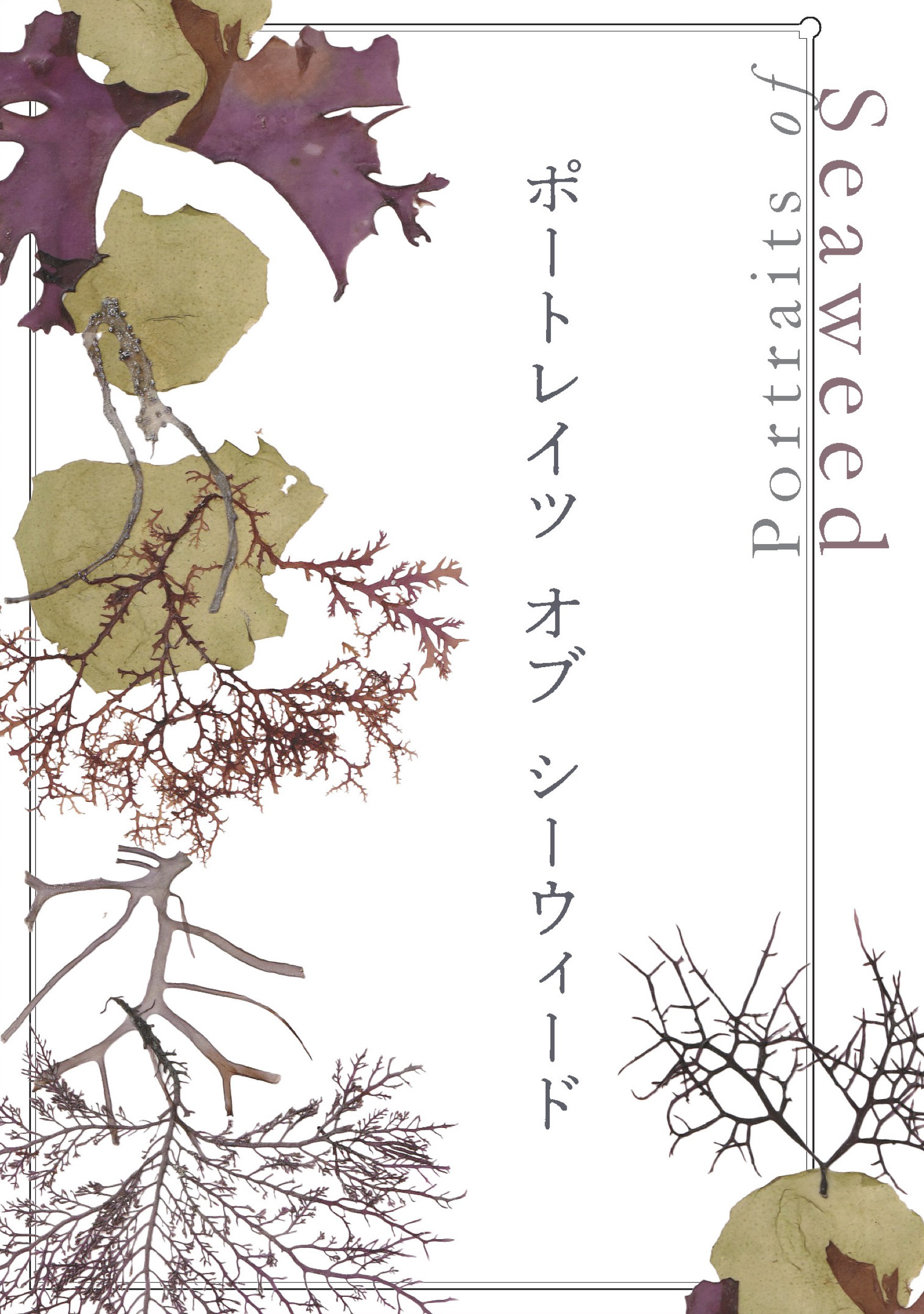 Portraits of Seaweed　/　ポートレイツ・オブ・シーウィード