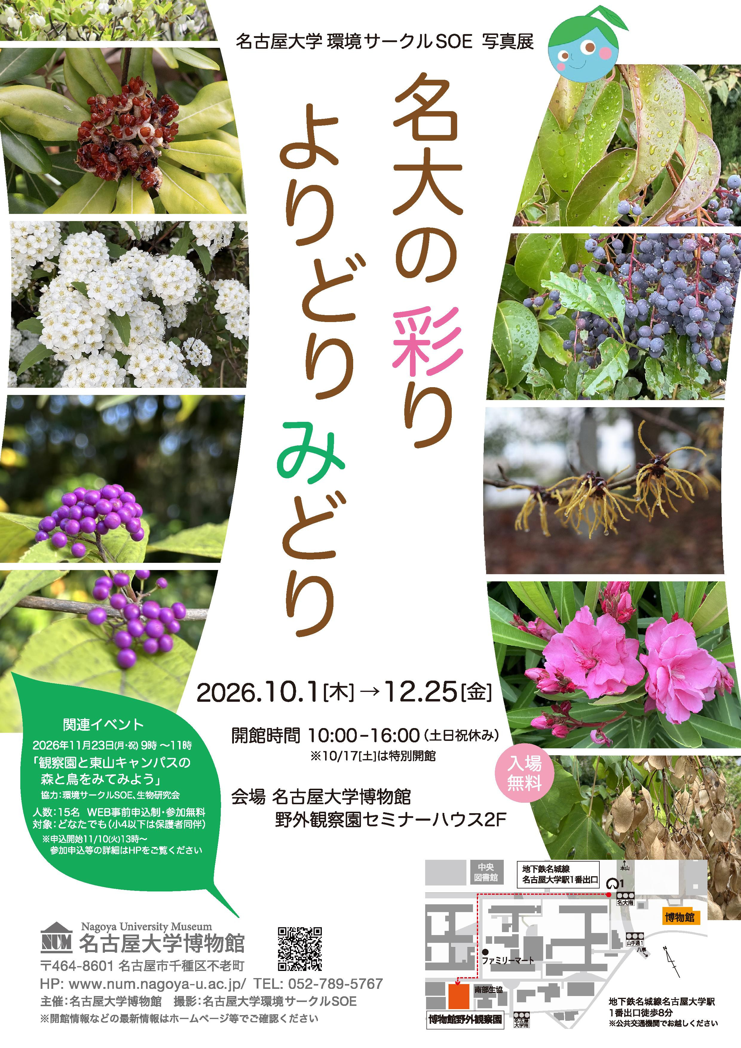 名大の彩りよりどりみどり