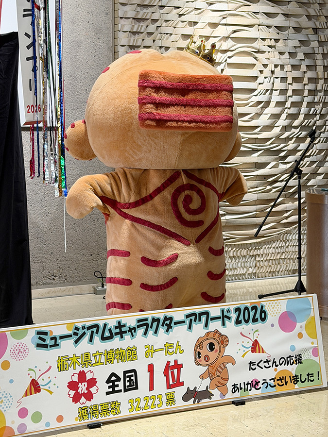 後ろから見た「みーたん」