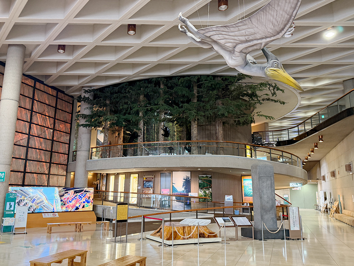 栃木県立博物館　エントランスホール