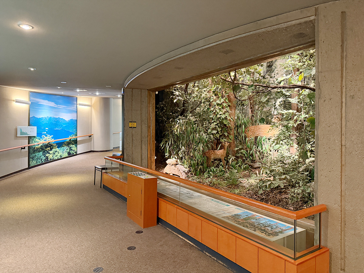 スロープ展示