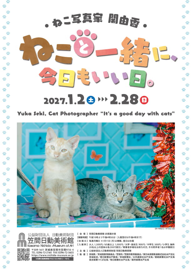 ねこ写真家 関由香 ねこと一緒に、今日もいい日。