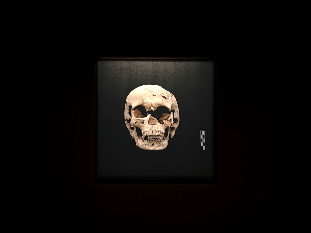 アーティゾン美術館「ジャム・セッション 石橋財団コレクション×藤井光 WHOSE LIGHT? —だれのひかりか」会場