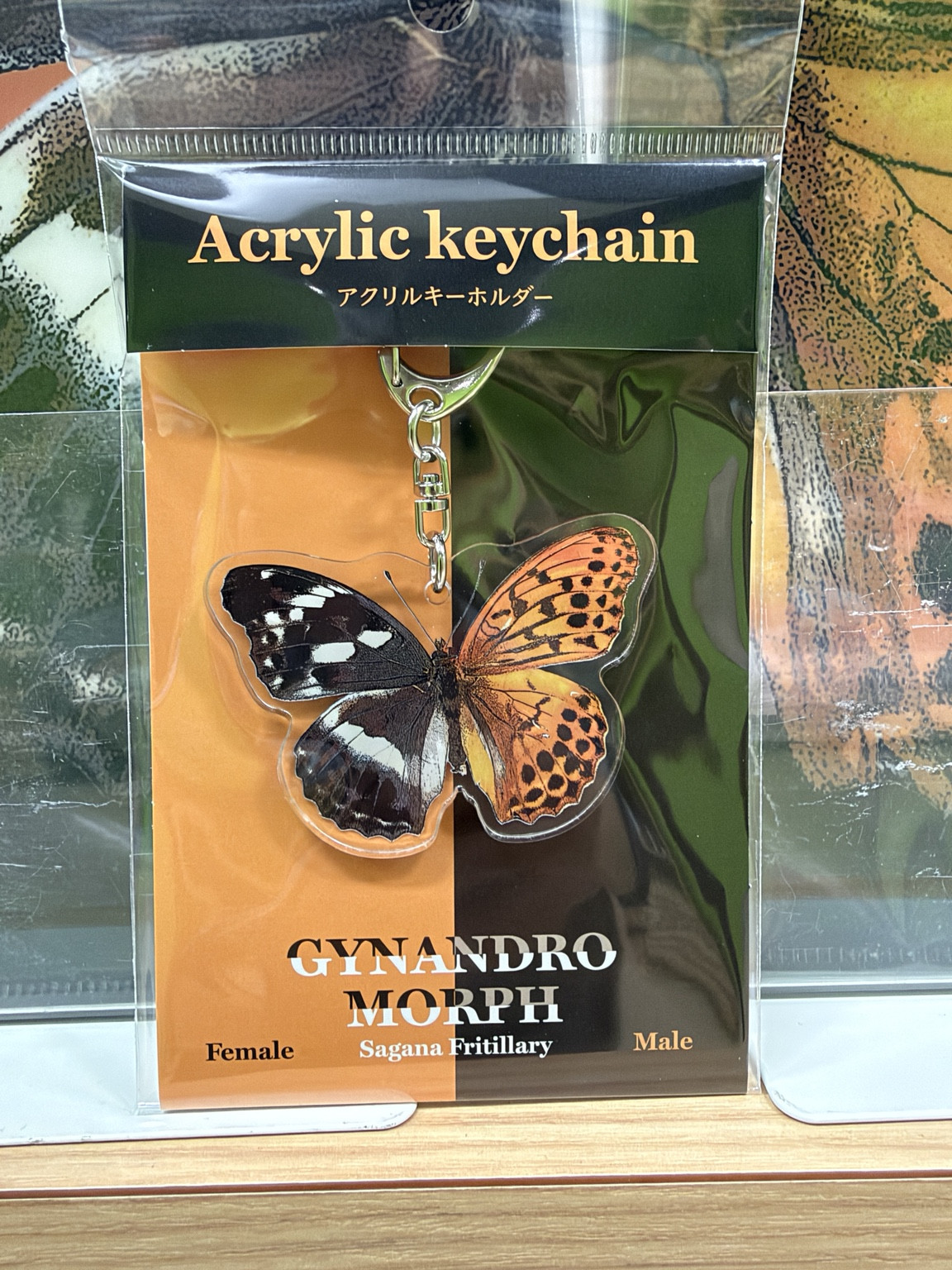 国立科学博物館『生きものたちの性』 ギナンドロモルフ 蝶 アクリルキーホルダー