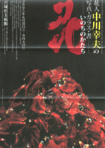 花人 中川幸夫の写真・ガラス・書 | 展覧会 | アイエム