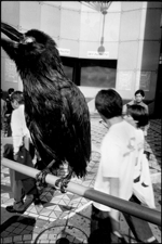 マグナム・フォト創設60周年記念展 「“TOKYO”マグナムが撮った東京