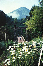 心の宝、ふるさと徳山 ～増山たづ子写真展～」 | 見どころ・チケット