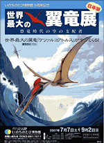 夏の特別展「世界最大の翼竜展～恐竜時代の空の支配者」 | 見どころ