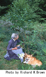 ターシャ テューダー展 コーギーコテージへ ようこそ 展覧会 アイエム インターネットミュージアム