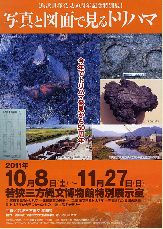 鳥浜貝塚発見50周年記念特別展 | 見どころ・チケット・口コミ
