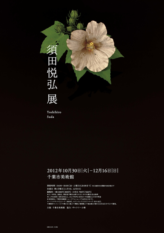 須田悦弘展 | 見どころ・チケット・口コミ | アイエム［インターネット