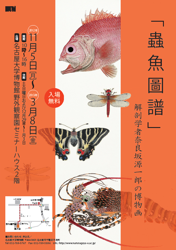 蟲魚圖譜 - 解剖学者奈良坂源一郎の博物画 | 見どころ・チケット