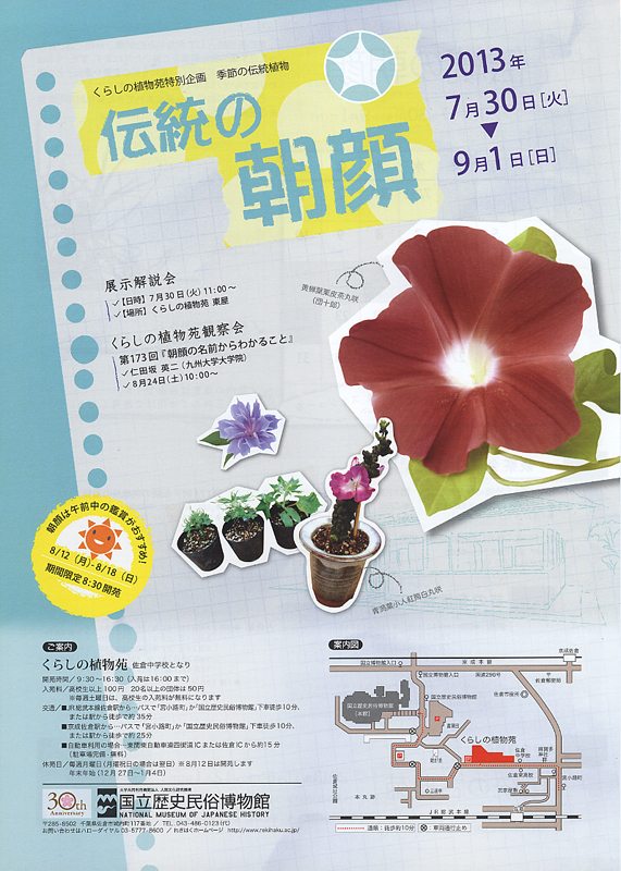くらしの植物苑特別企画 伝統の朝顔 展覧会 アイエム インターネットミュージアム