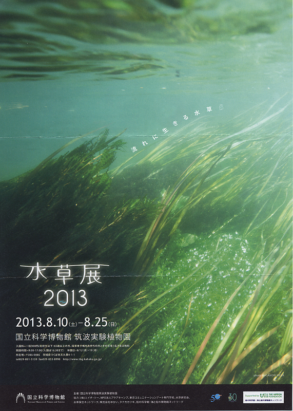 水草展 13 展覧会 アイエム インターネットミュージアム 水草展 13 展覧会 アイエム インターネットミュージアム