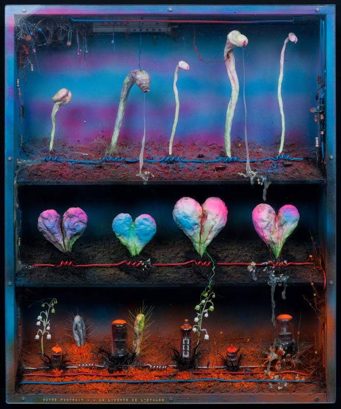 あなたの肖像－工藤哲巳回顧展 | 展覧会 | アイエム［インターネット