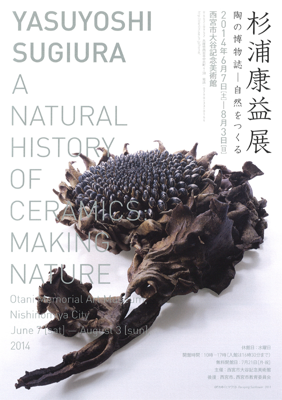 葉化石皿 (杉浦康益 作) 葉化石皿 (杉浦康益 作) 葉化石皿 (杉浦康益 作) Yahoo