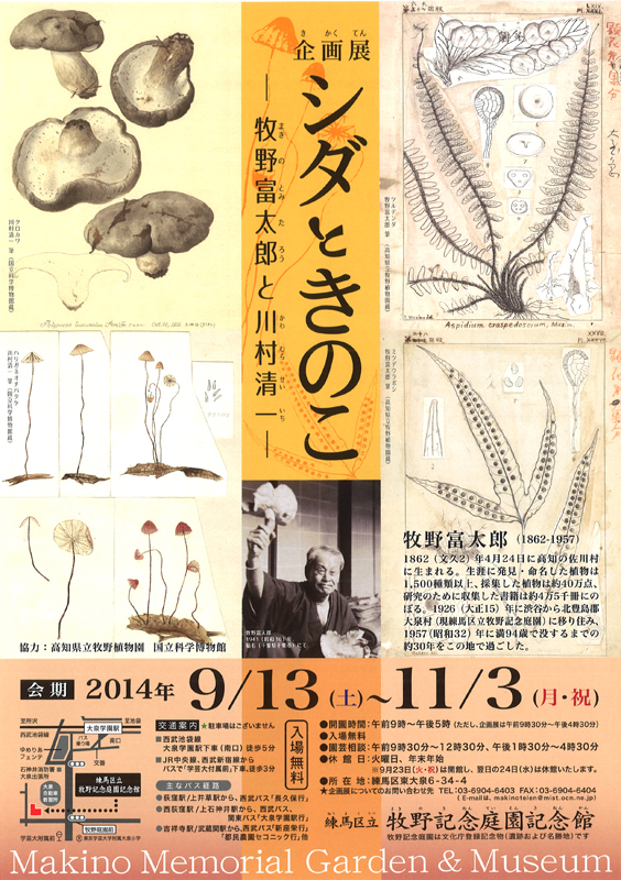 シダときのこ ━牧野富太郎と川村清一━ | 展覧会 | アイエム