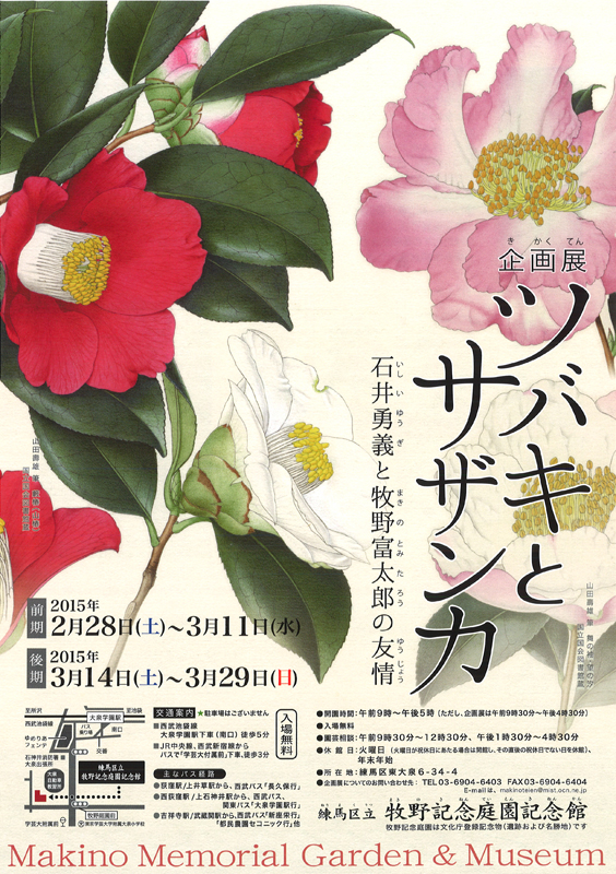 石井勇義ツバキ*サザンカ図譜 ツバキとサザンカ - 石井勇義と牧野富太郎の友情 - | 展覧会