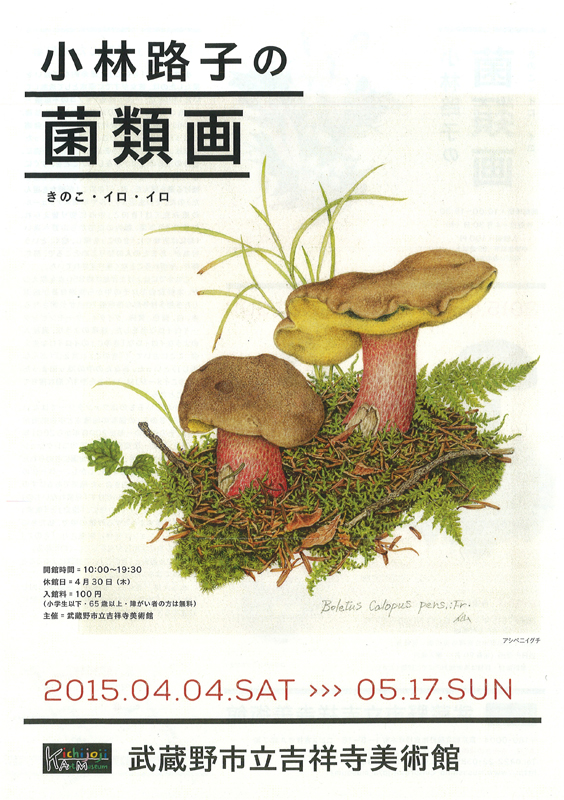 小林路子画集「きのこ」 きのこ 小林路子画集 | 山と溪谷社 | nostos books ノストスブックス