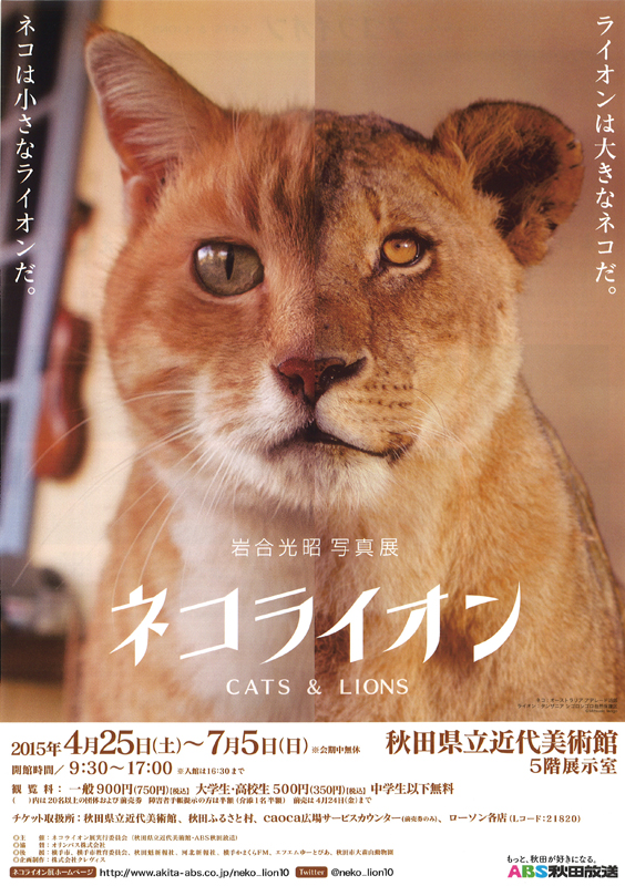 岩合光昭写真展 ネコライオン | 展覧会 | アイエム［インターネット